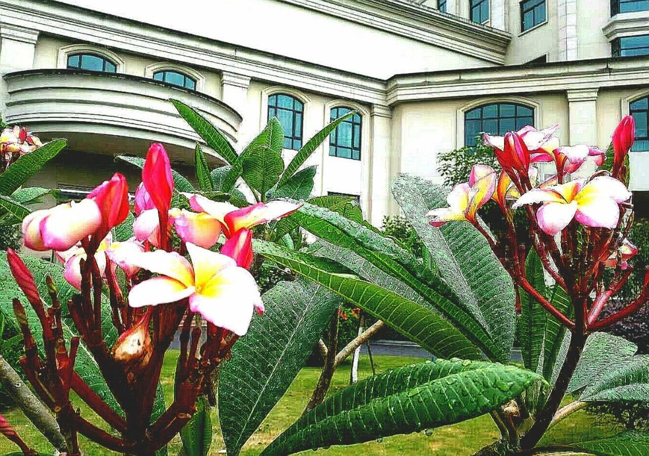 Ln Dongfang Hotel, Sihui Exterior photo